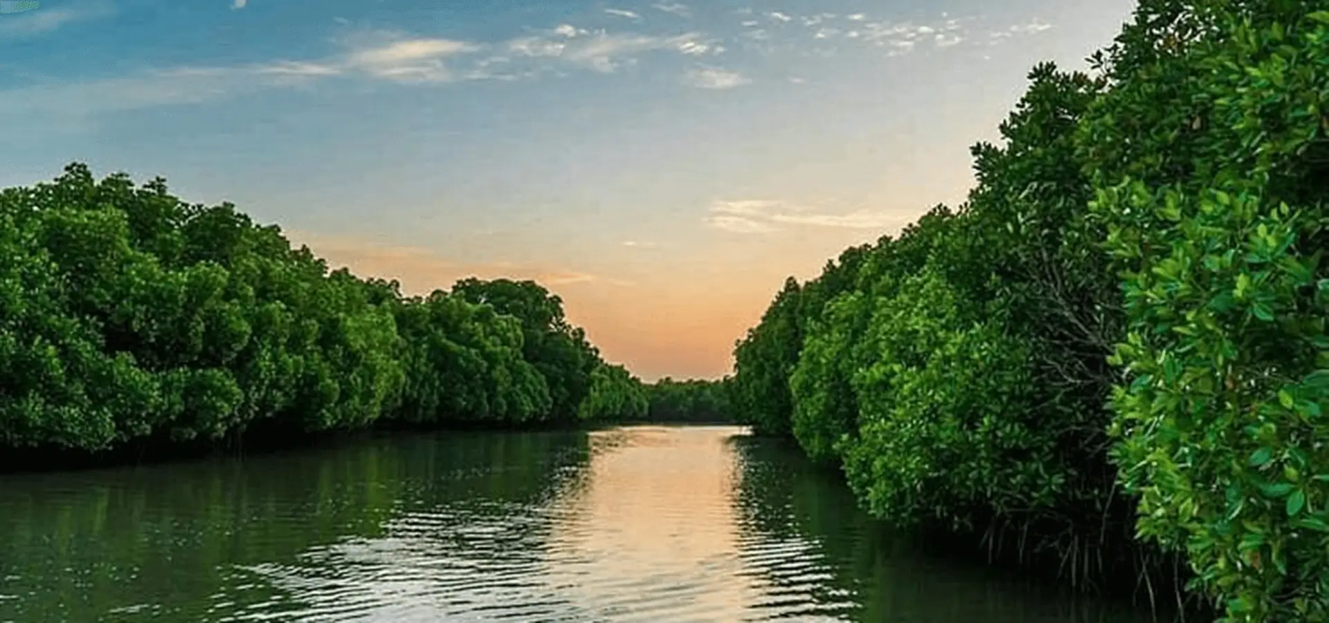 Madu River Safari