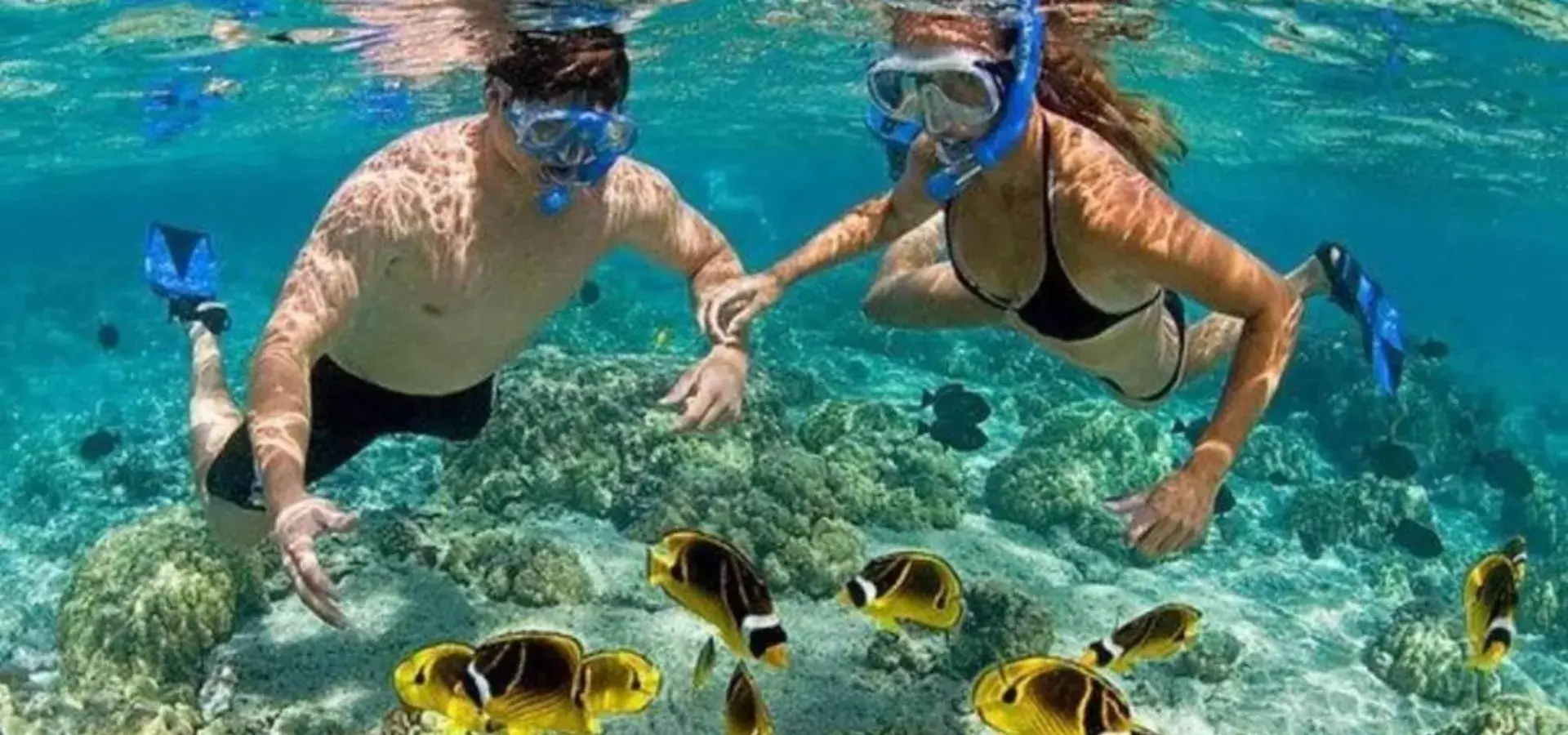 Hikkaduwa Coral Reefs
